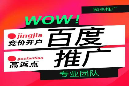 SEM公司案例分析：搜索引擎优化策略与执行